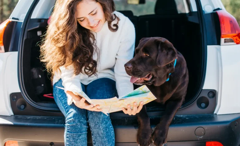 Tips for Traveling with Your Pet: Making the Journey Stress-Free