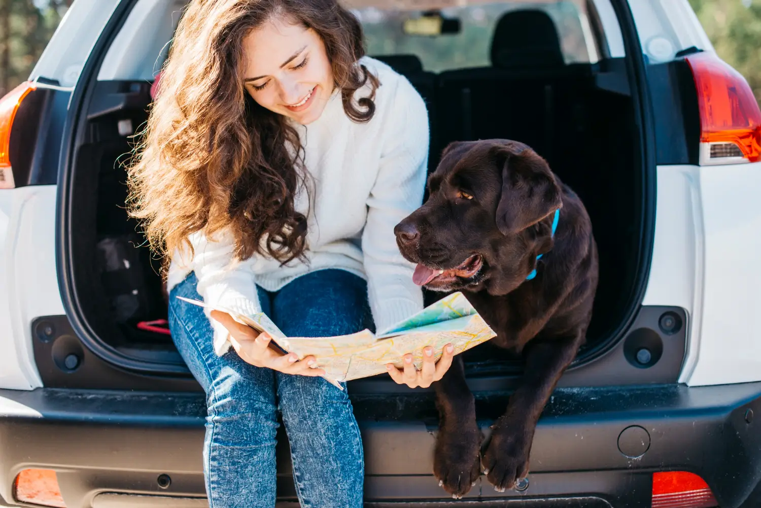 Tips for Traveling with Your Pet: Making the Journey Stress-Free