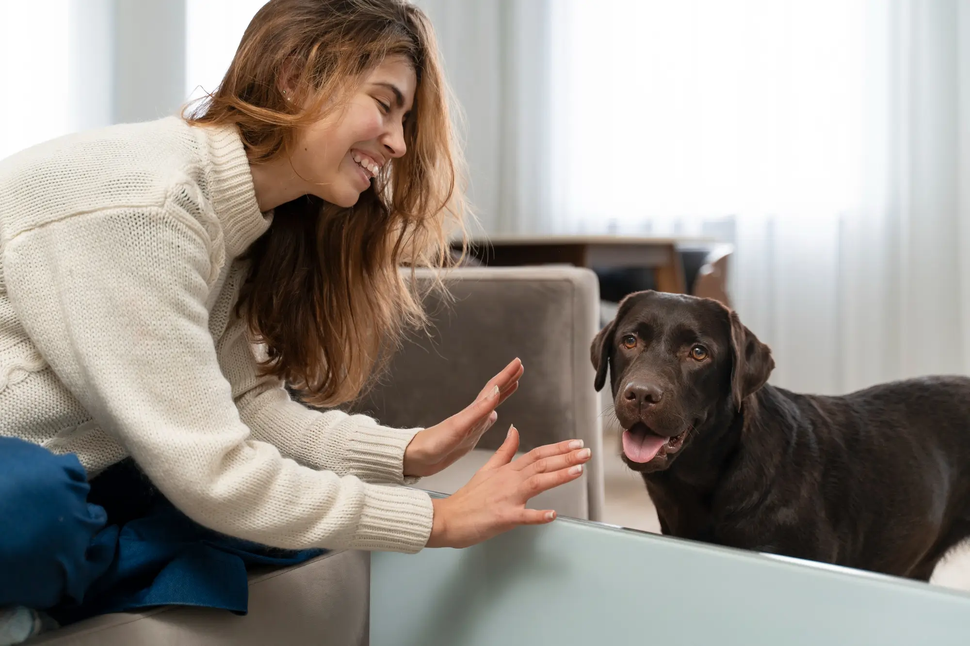 Understanding Your Pet’s Body Language and Behavior