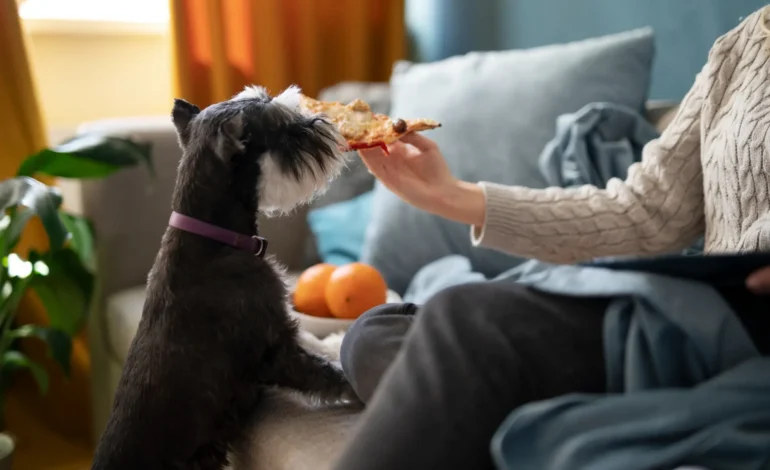 The Ultimate Guide to Choosing the Best Pet Food for Your Furry Friend